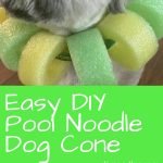 pool noodle dog cone