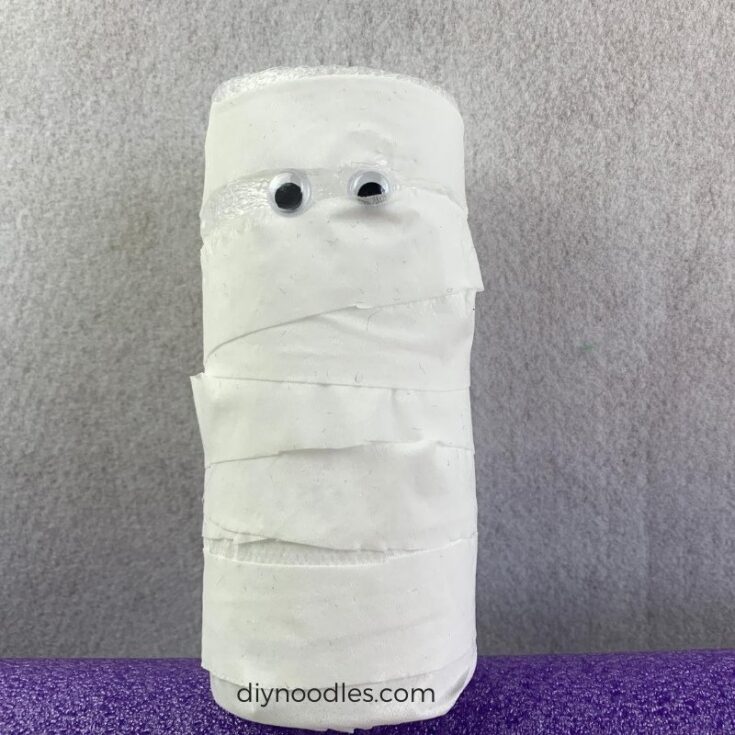 Mummy craft